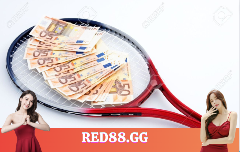 cá cược quần vợt Red88